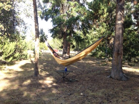 hammock